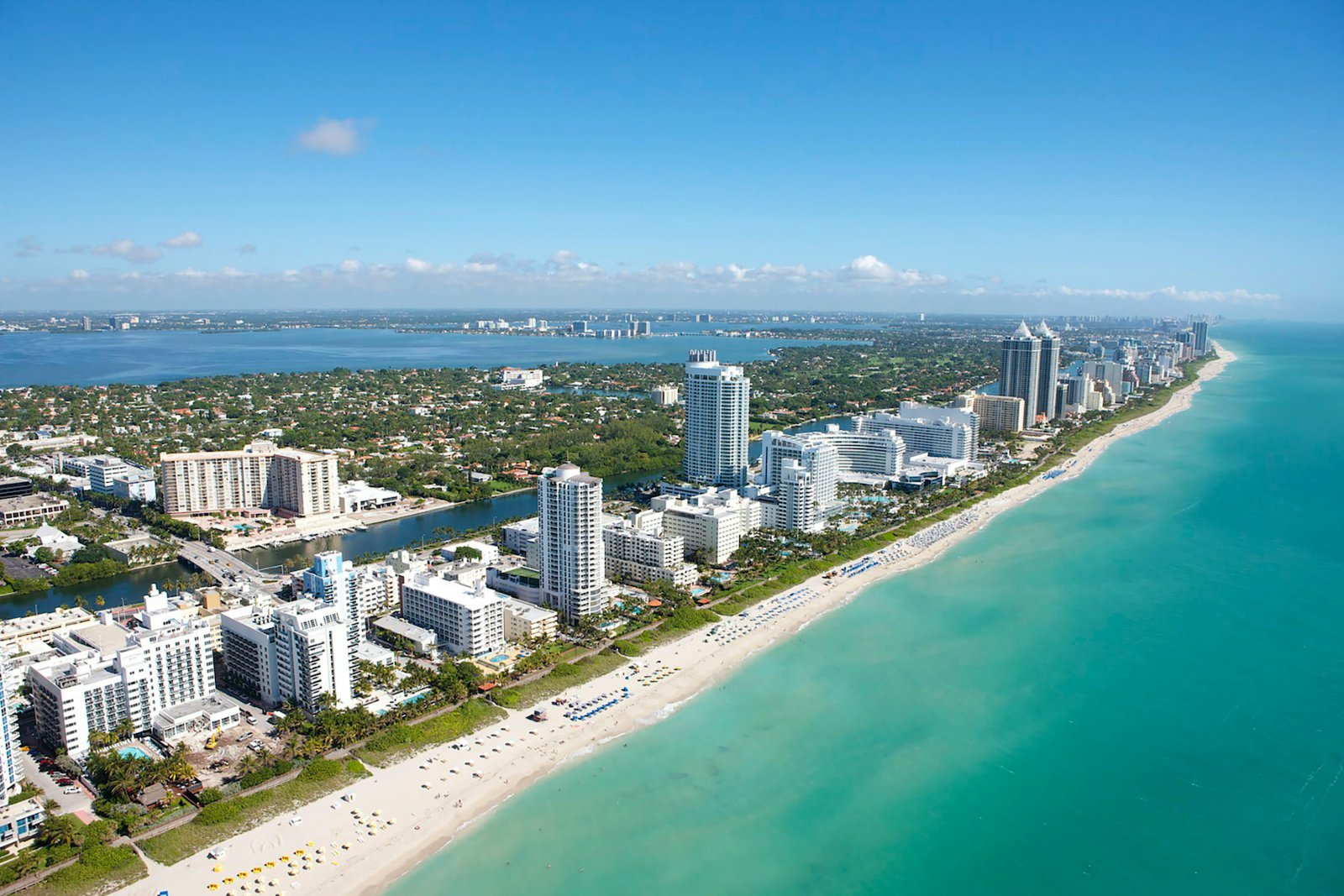 Miami ClawCamp